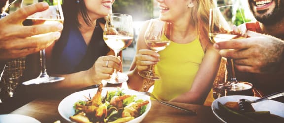 Group of Friends Having Wine Together Smiling