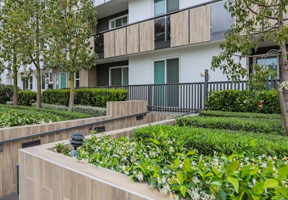 a view of the landscaping in front of an apartment building