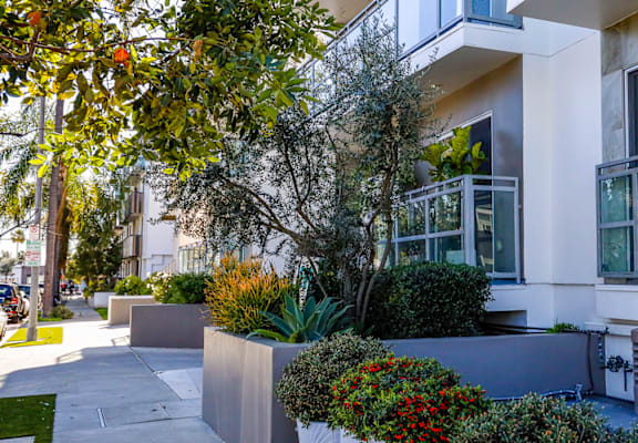 a white apartment building with a sidewalk and trees in front of it