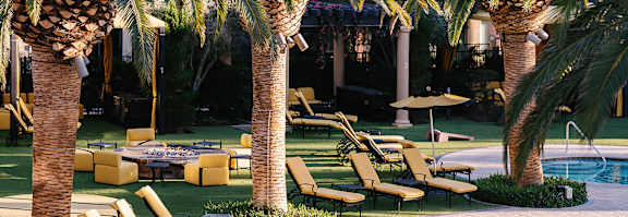 Palm trees surround a pool and lounge chairs.