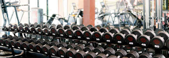 A rack of black dumbbells with white numbers ranging from 25 to 100.