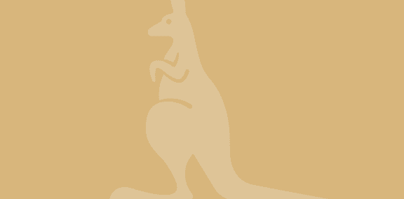 an illustration of a kangaroo on a orange background