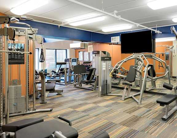 A gym with a variety of equipment including a squat rack, bench press, and leg press at The Gables at Park Pointe, St. Louis Park, 55426.