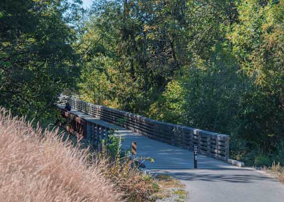 Briar Creek Photos