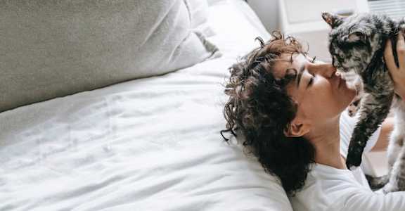 A person is lying on a bed with a cat on their chest.