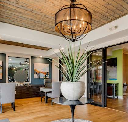 A living room with a large plant in a white vase on a round rug.