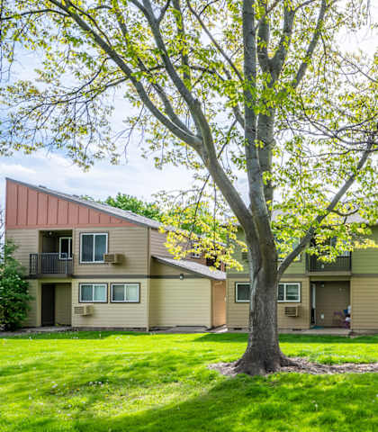 exterior view of the building with trees and green grass
