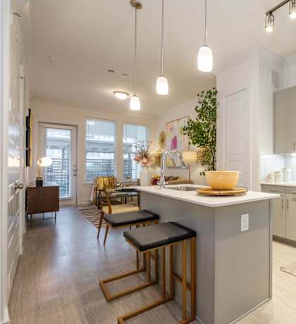 luxury kitchen at Reveal Lake Ridge apartments