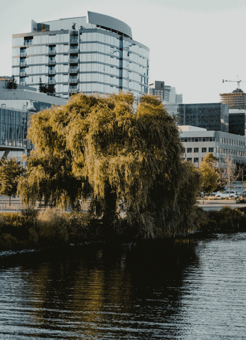 Exterior  at Dexter Lake Union, Seattle, 98109