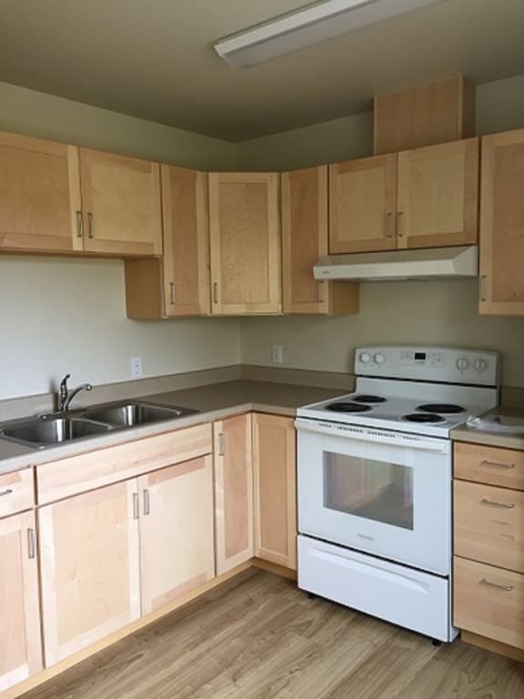 Image of stove, range hood, cabinets, sink, and counter space