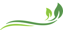 a green wave with green leaves logo