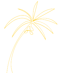 The image is a patterned background with the word "Adobe Stock" repeated in various orientations.
