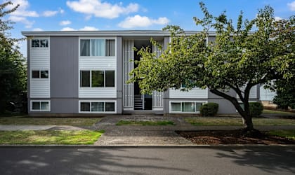 A tree is in front of a grey building.