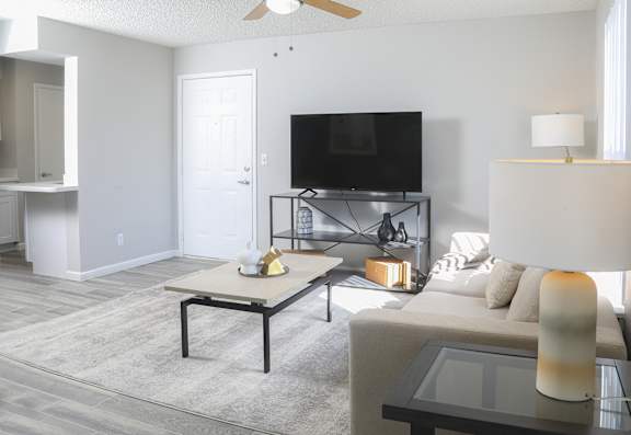 a living room with a couch and a coffee table and a television