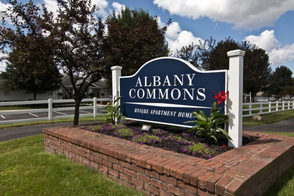 Welcome to Albany Commons!