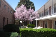 a pink tree in the courtyard of a brick building