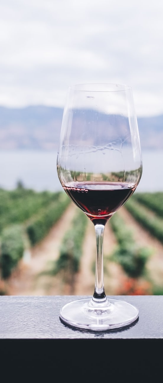 Sonoma County Winery near Harvest Park Apartments