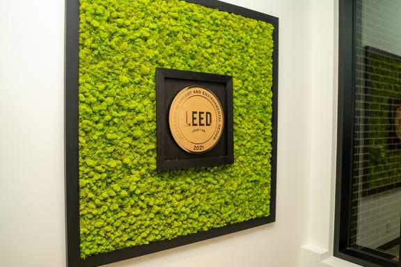 a green wall with moss growing on it at Southpark on Whyte, Edmonton, Alberta
