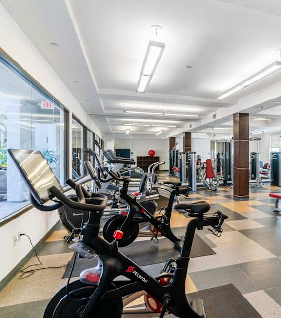 A gym with treadmills and exercise equipment at The Adler Apartments, Los Angeles