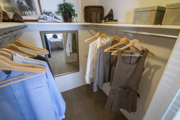 walk-in closet in an apartment  at Fairfield Pointe, Fairfield