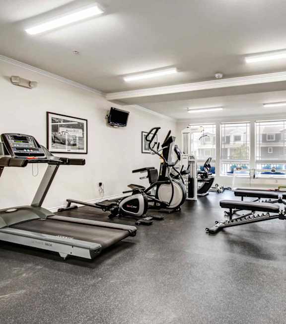 A gym with treadmills, exercise bikes, and other equipment at Toluca Court, Toluca Lake, CA