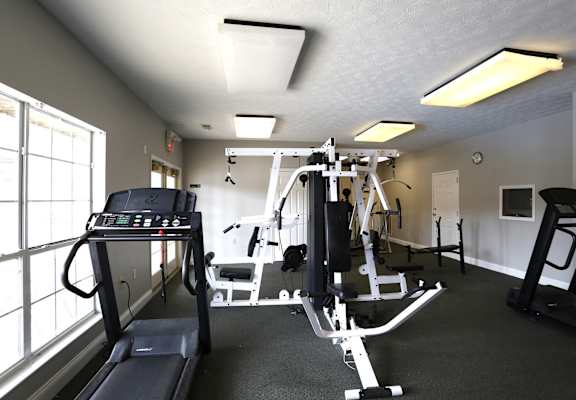 A well-equipped gym with treadmills, weights, and exercise machines.