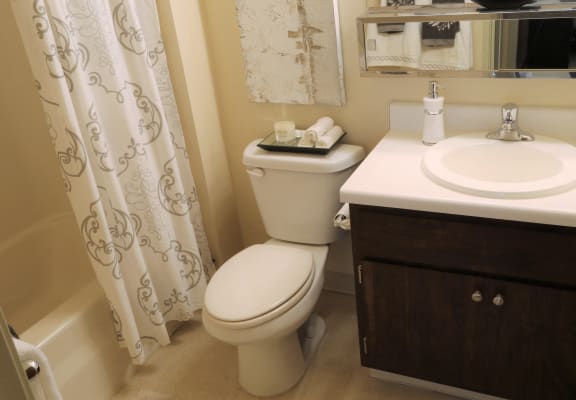 Oversized Soaking Tubs at Willowood Apartments, Eastlake, 44095