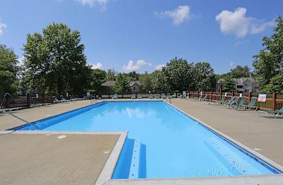 A large blue swimming pool surrounded by trees and lounge chairs.
