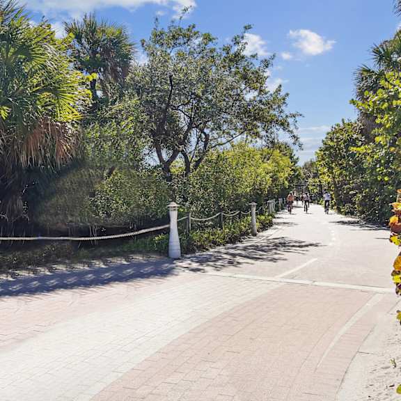 A tree-lined walkway with a sign on the left side.