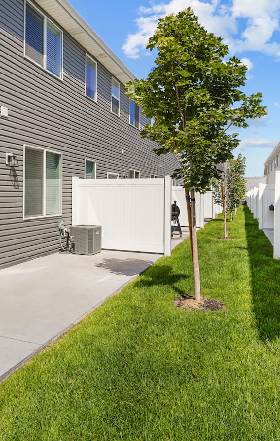 A tree is planted in a small patch of grass in front of a grey building.