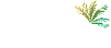 The image is a logo for San Montego Apartments.