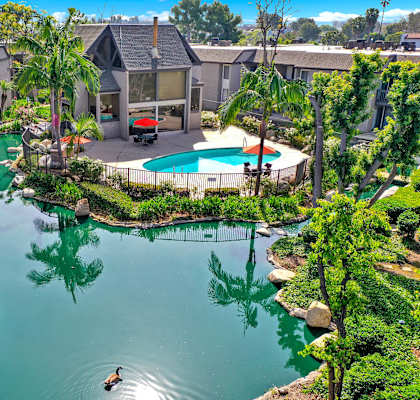 A person is swimming in a pool surrounded by palm trees and residential houses.