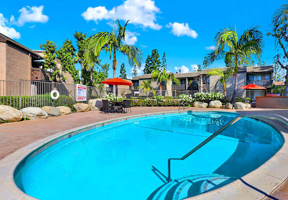 A swimming pool surrounded by palm trees and a building in the background.