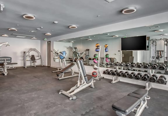 A well-equipped gym with various exercise machines and weights.