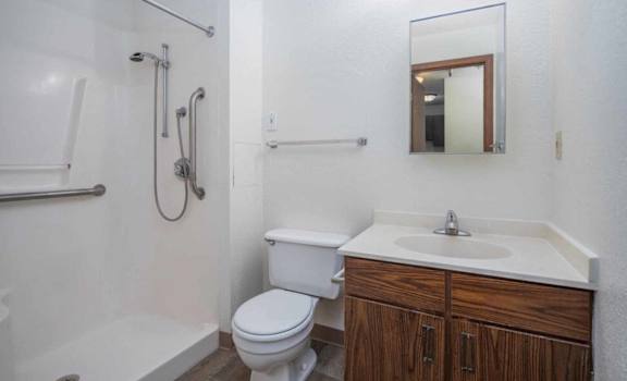 a bathroom with a toilet sink and shower and a mirror