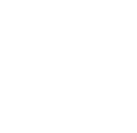 The image shows a logo with the text "THE STELLA" in white font on a green background.