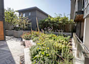 Thumbnail 3 of 5 - a garden on a patio in front of a building