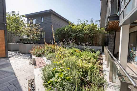 a garden on a patio in front of a building