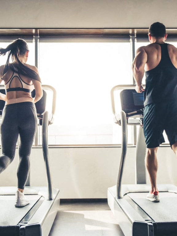 Wilton Tower Apartments in Wilton Manors, FL