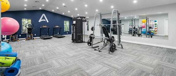 the gym at the arcadia apartments in plano, tx