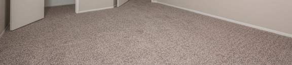 Spacious Walk-In Closets