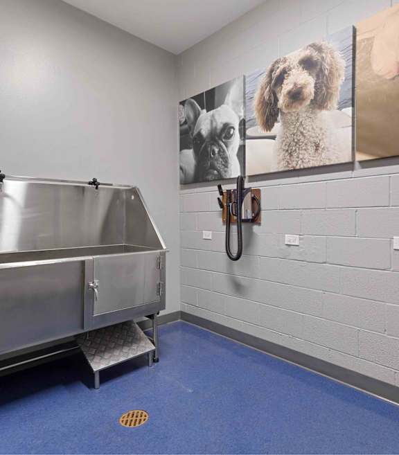 A modern living room with a grey sofa, yellow chairs, and a glass coffee table.