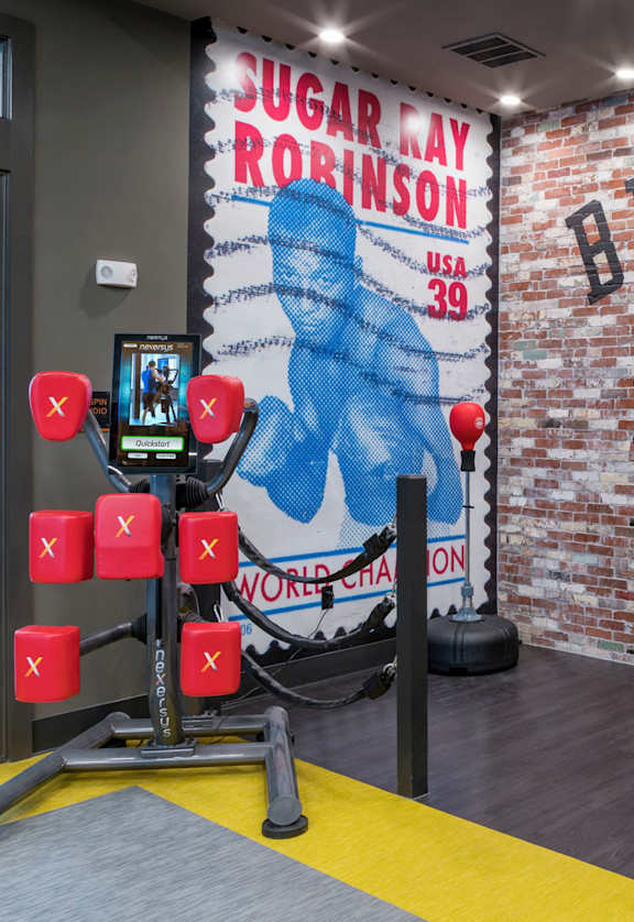 Boxing Ring
