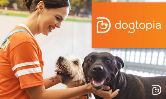 A woman in an orange shirt is petting two dogs.