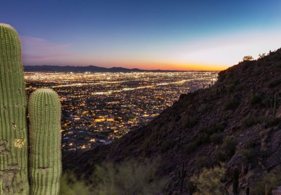 Cactus and Phoenix skyline stock photo at Marquee Apartments in Phoenix AZ