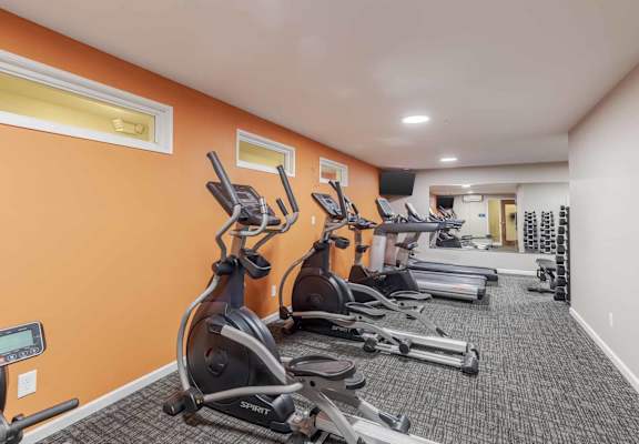 A gym with orange walls and a row of treadmills.