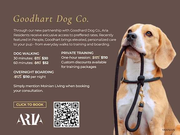 A dog is looking upwards with a leash in its mouth.