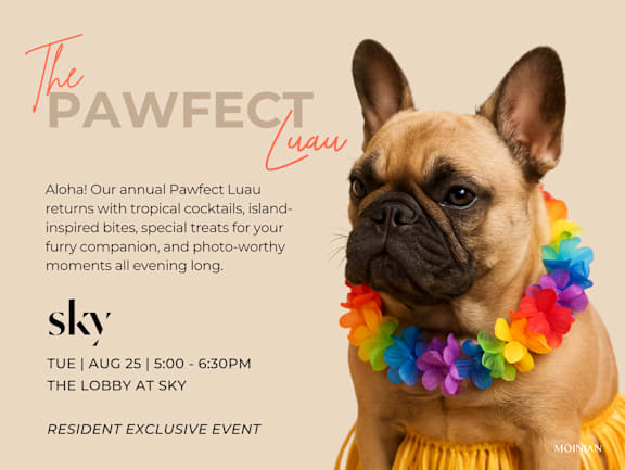 A dog wearing a colorful lei is the main subject of the image.