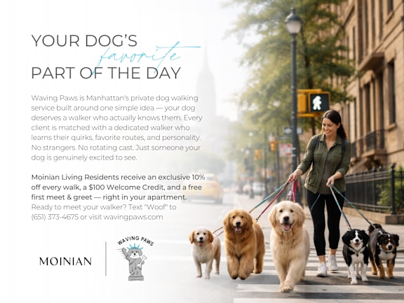 A woman walking four dogs on a leash in a city street.at MARC Apartments, New York, 10019