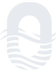 A graphic of a star above a stylized wave.